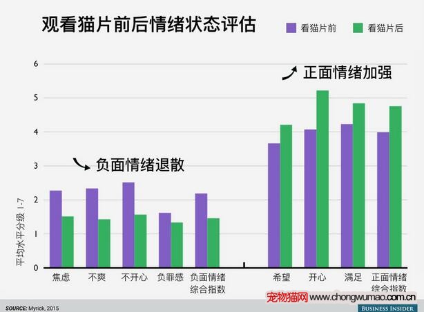 猫片的疗效