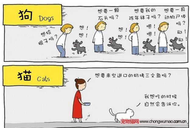 猫狗差别