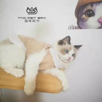 《本地猫舍》专业繁育布偶猫 送猫上门 健康保一年