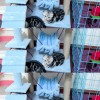 美短猫咪寻铲屎官，无病无猫癣，健康可爱，坐标北京