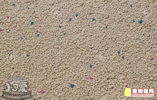 哪种类型的猫砂比较好用 垃圾分类后重新认识猫砂插图