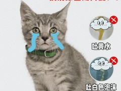 小猫咪吐的是黄颜色的水是什么原因？